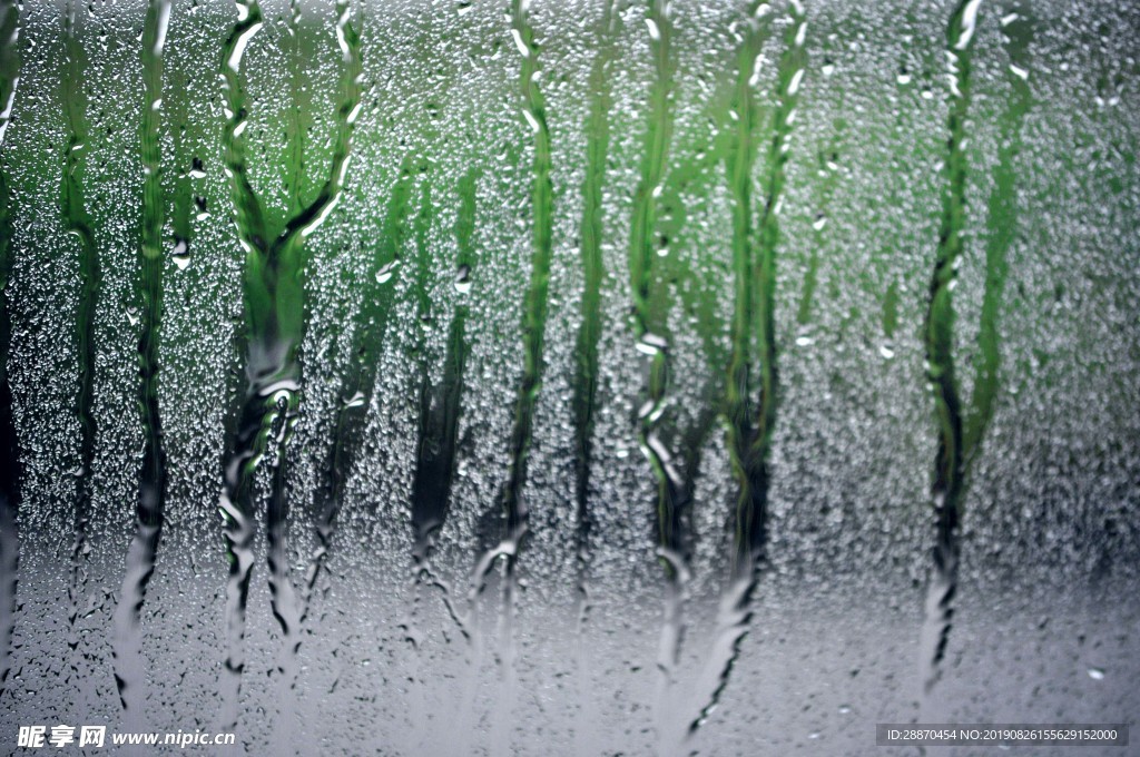 窗口的雨样式有绿草背景