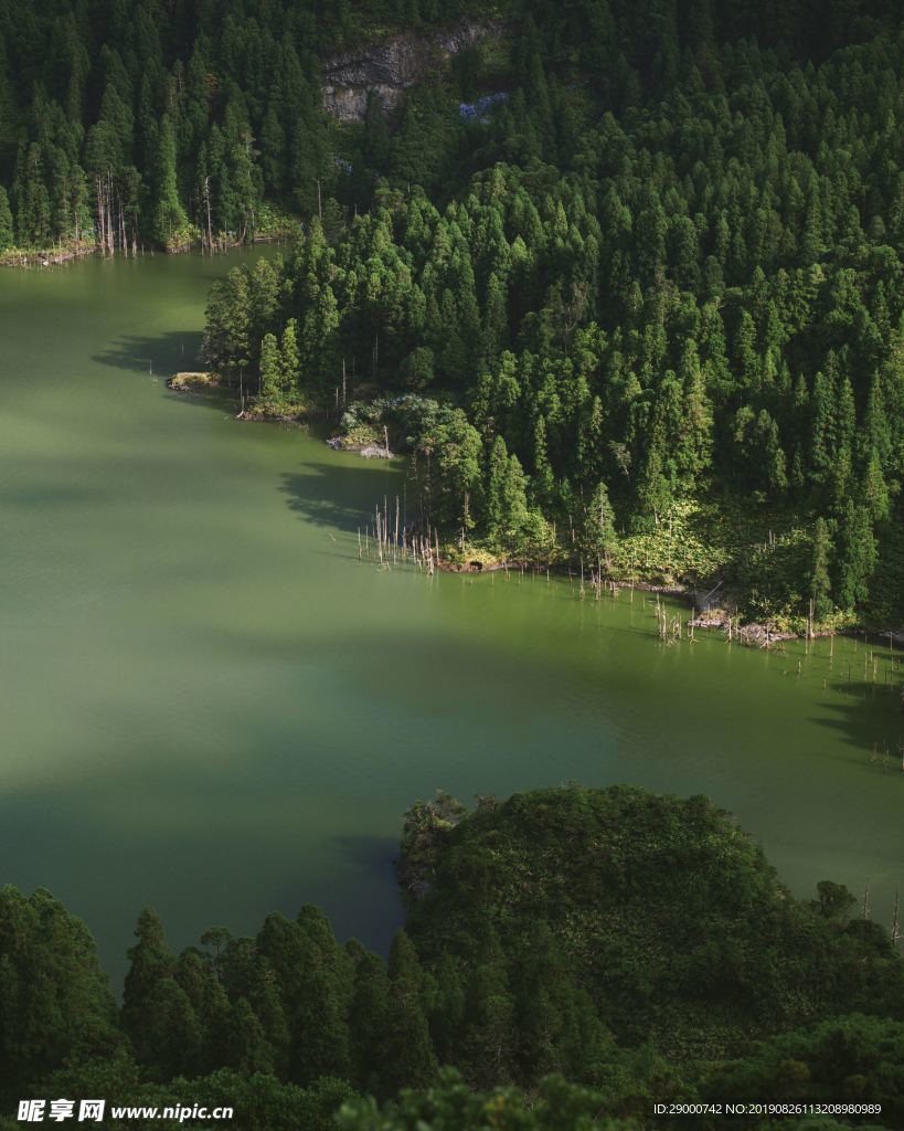 湖水 树林 森林 湖光山色