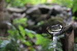 林间溪水