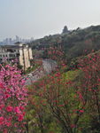 重庆鸿恩寺公园