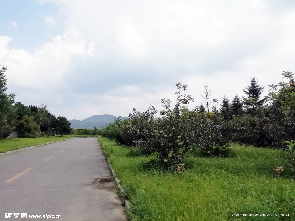 自然 绿色 户外  风景  风