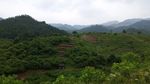 丘陵