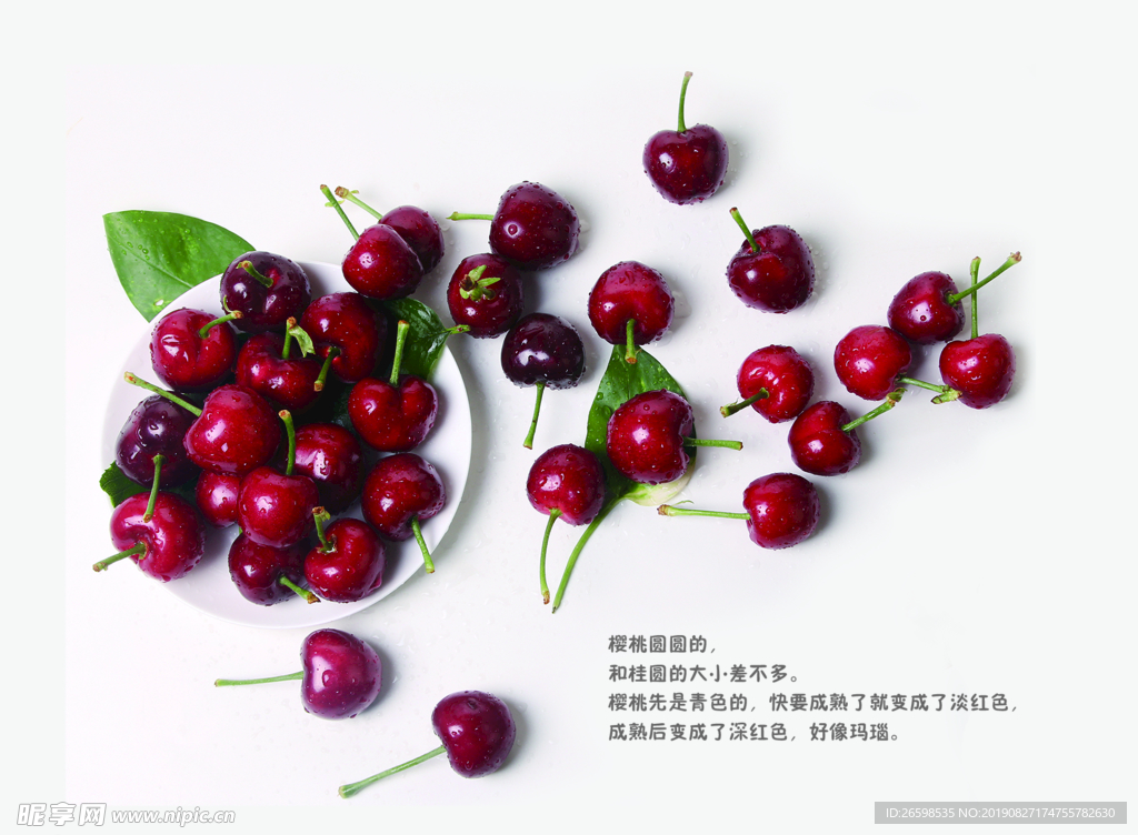 樱桃