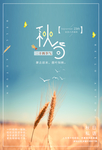 小清新秋分节气海报