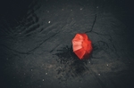 雨伞