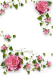 玫瑰花边框