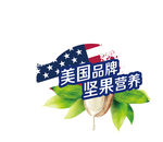 坚果海报