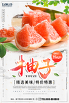 柚子