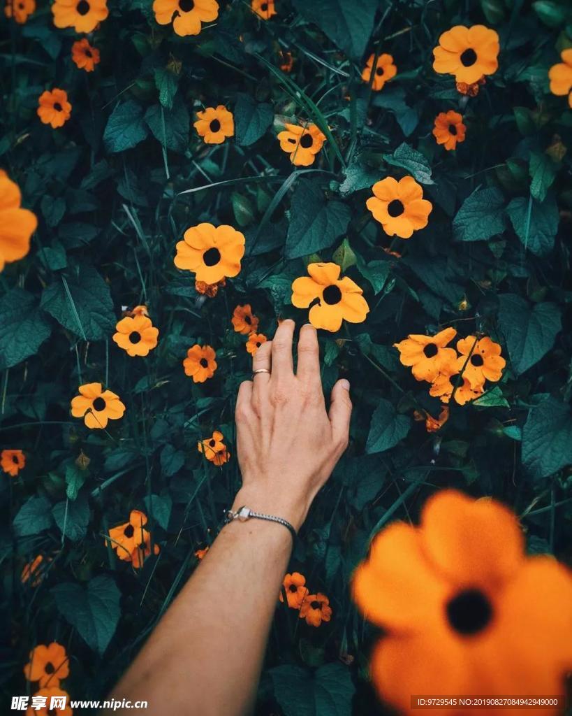 小花