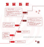 发展历程图片