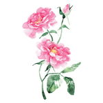 手绘鲜花