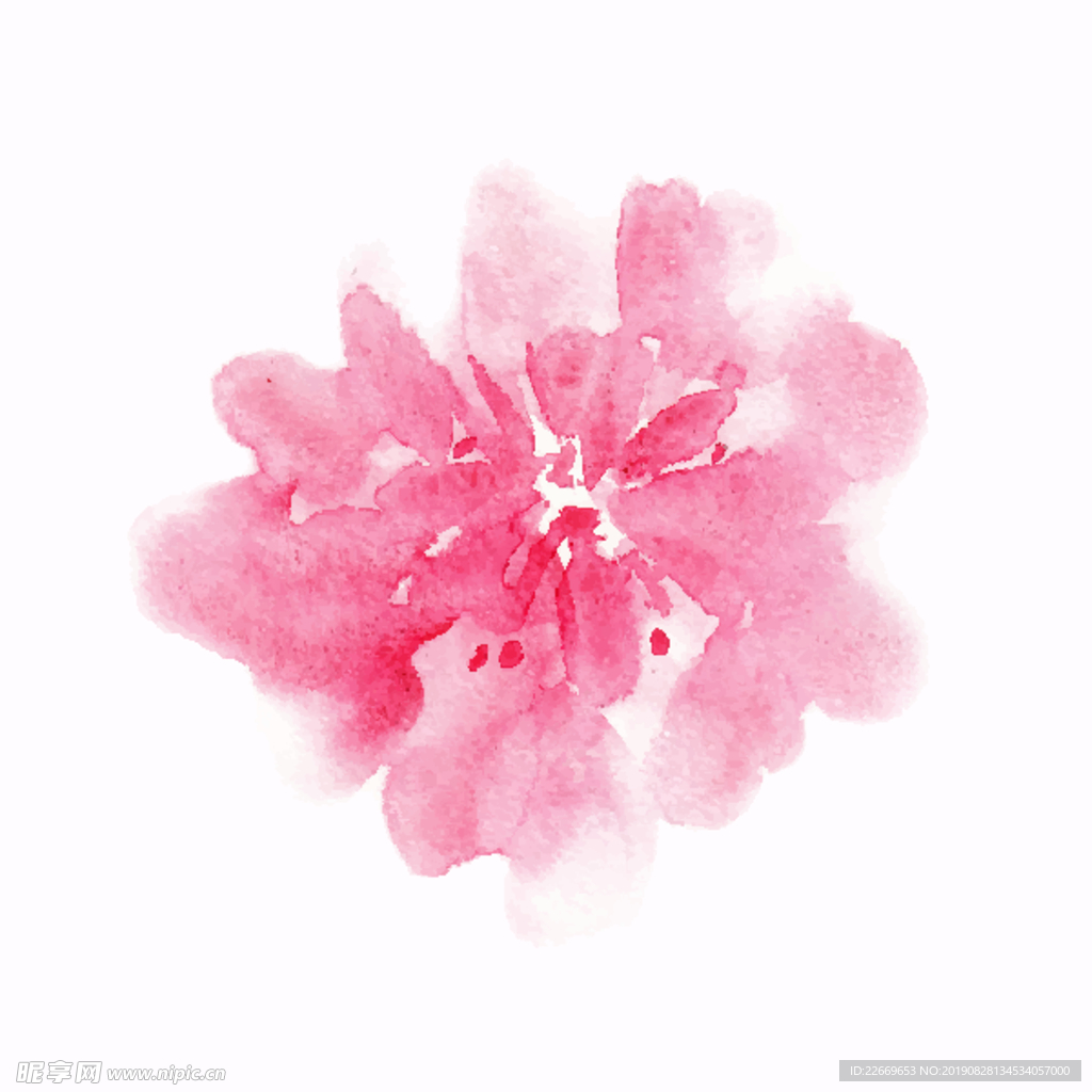 手绘鲜花