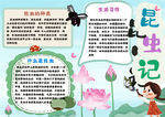 语文小报