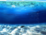 海底水下摄影模板