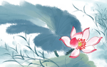 莲花精神