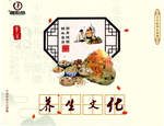 中医养生文化