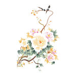 牡丹花