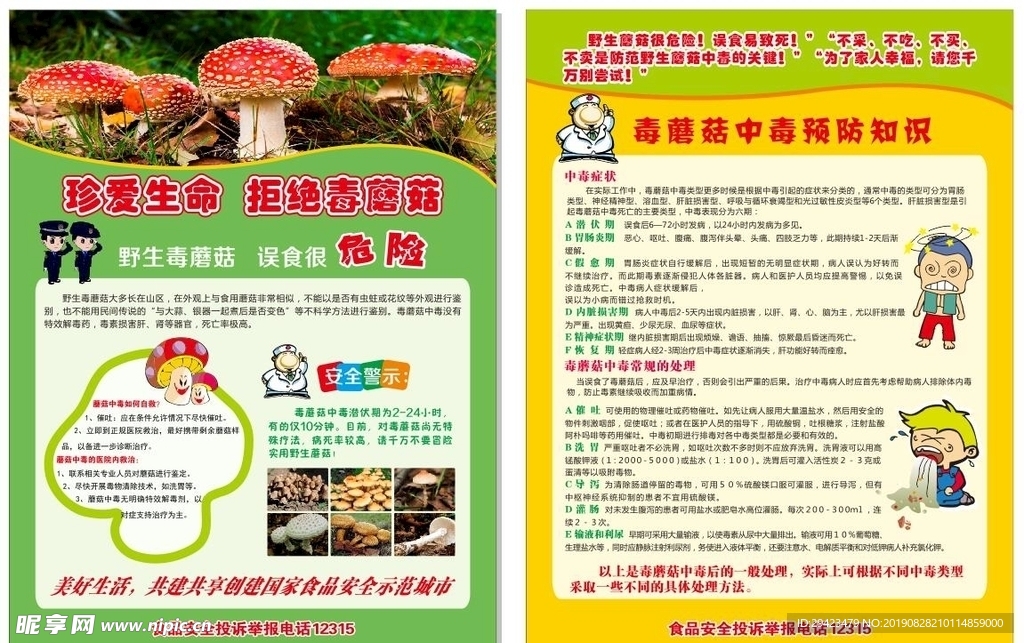 毒蘑菇宣传单