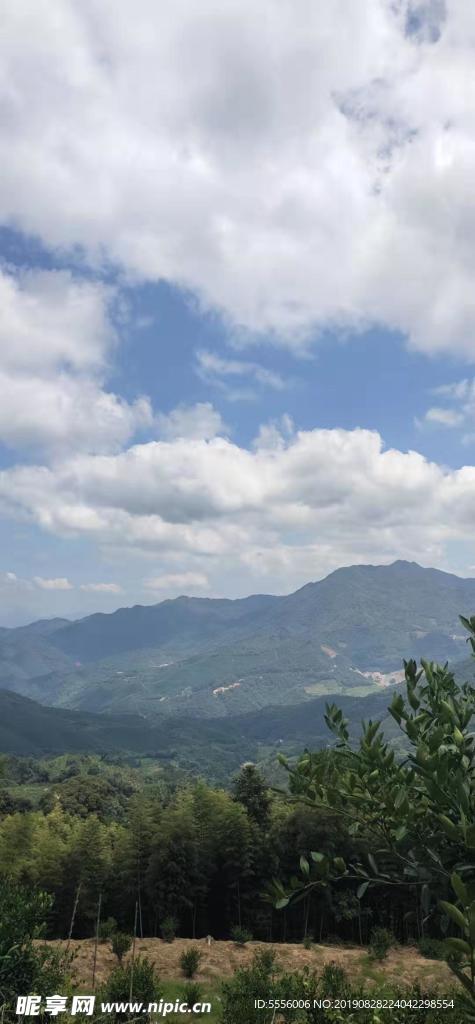 家乡的风景