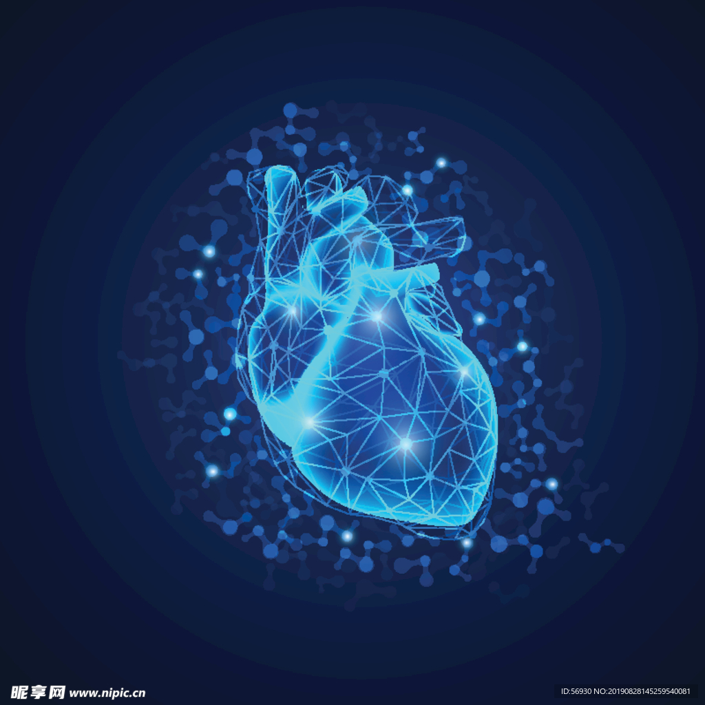 医学科技心脏