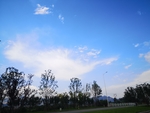 风景