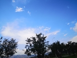 风景