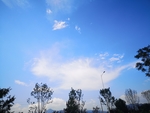 风景