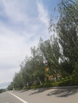 风景
