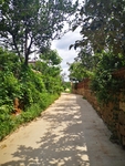 小路
