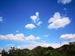 风景
