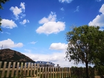 风景
