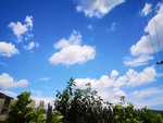 风景