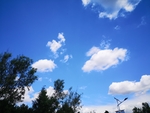 风景