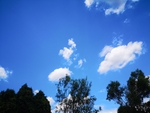 蓝天