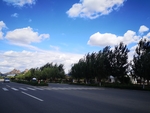 风景