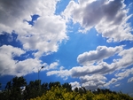 天空