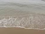 海