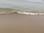 海