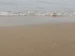 海