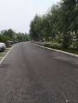 道路