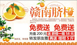 港南脐橙