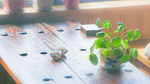 茶与茶文化