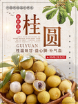 美味桂圆海报