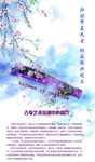 易拉宝展架