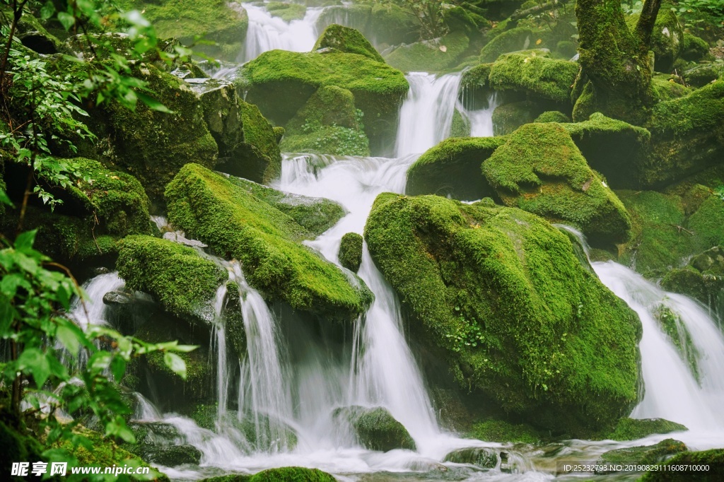 绿色青苔瀑布水流