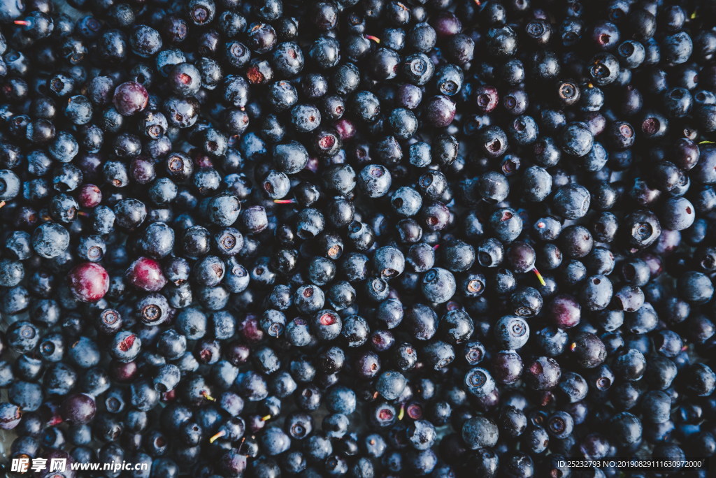 新鲜成熟蓝莓