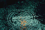 水波纹