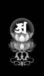 莲花座