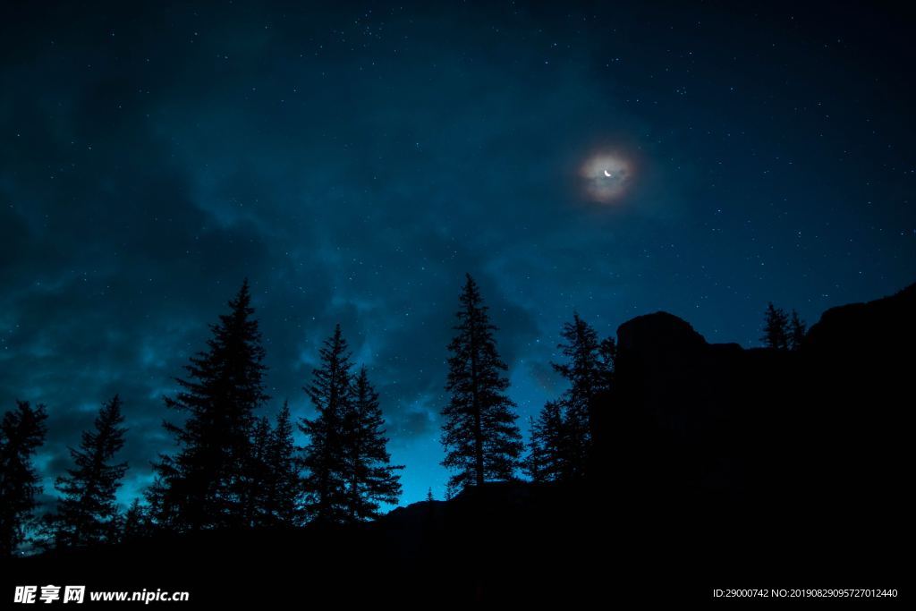 夜色 森林 星空 傍晚