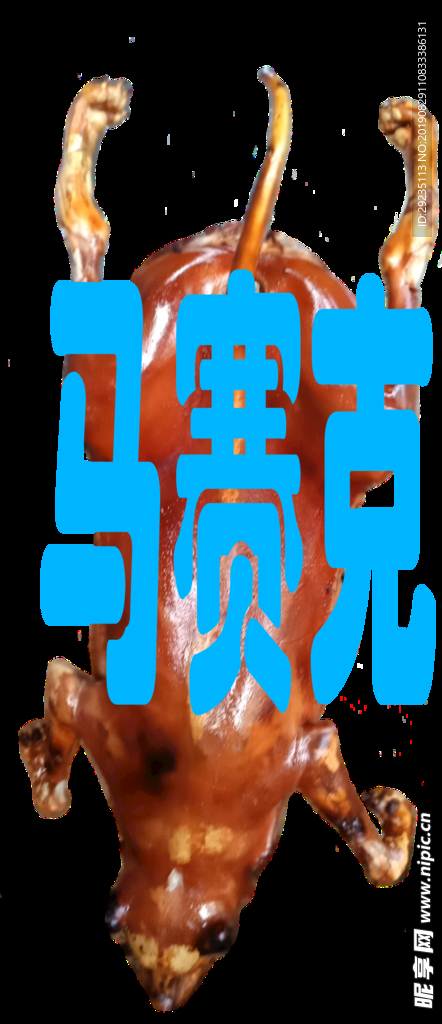 烧烤狗